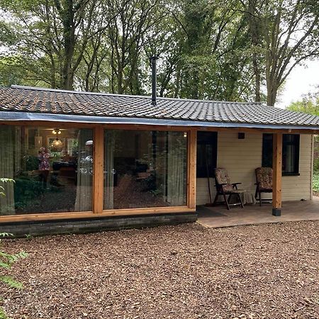 Huisje In Het Bos 추이드라렌 외부 사진